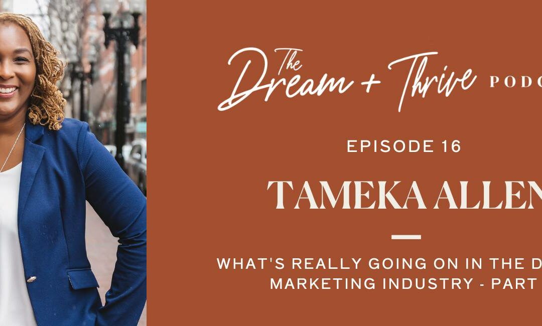 Episode 18: What’s Really Going On In The Digital Marketing Industry – Part 2